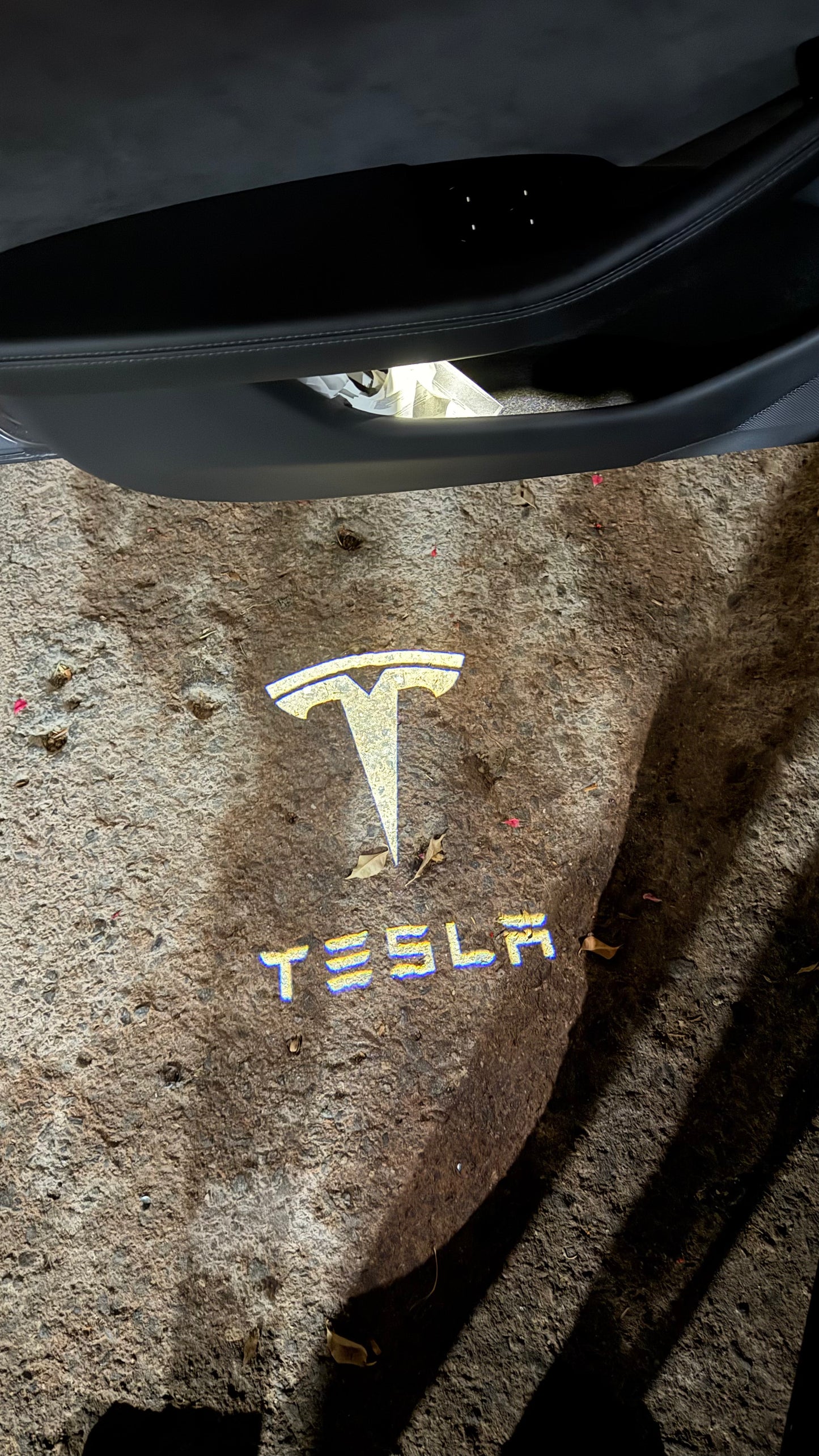 Luces de Cortesía Tesla Blanco todos los modelos (S/3/X/Y) - 4 piezas