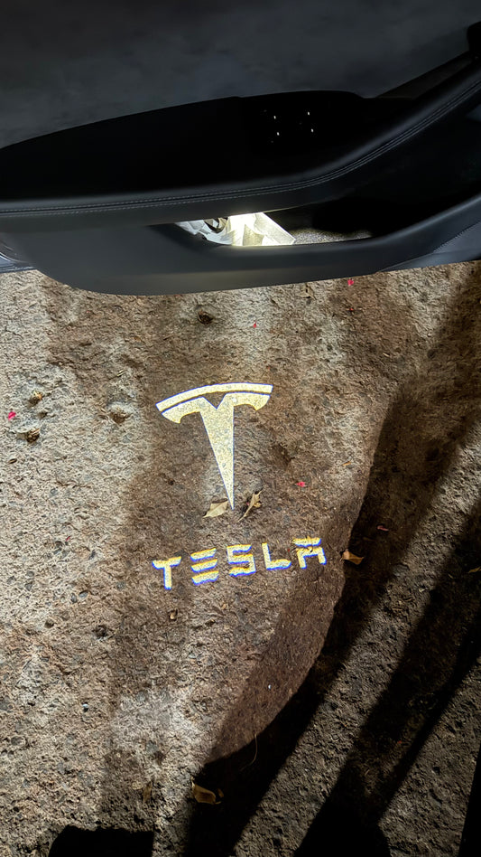 Luces de Cortesía Tesla Blanco todos los modelos (S/3/X/Y) - 4 piezas