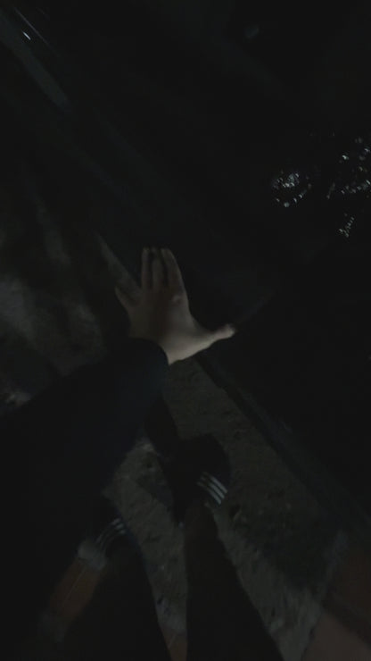 Luces de Cortesía Tesla Blanco todos los modelos (S/3/X/Y) - 4 piezas